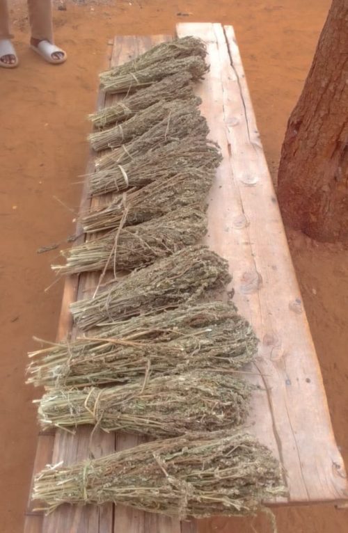 Bundles of bhang recovered by police during Kitui raid. @NPSOfficial_KE/X