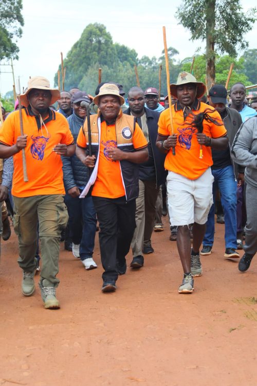 Kakamega Governor making his way into the bullfighting event in Shinyalu on Saturday, August 23, 2025. PHOTO//
@Ass_tridah/X