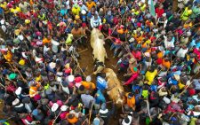 Thousands of Kakamega locals turn up for bullfighting extravaganza