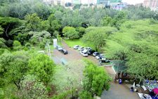 Make cities greener, friendlier as populations grow 