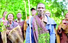 Ogiek advance indigenous, forest peoples’ rights battle 