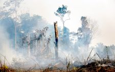 Uproar after ‘Mad Men’ win Brazil’s COP30 PR contract 