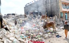 Pneumonia and cancer lead killer diseases list 