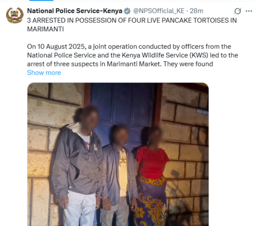X post by NPS. PHOTO/Screengrab by People Daily Digital