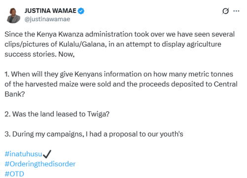 X post by Justina Wamae. PHOTO/Screengrab by People Daily Digital