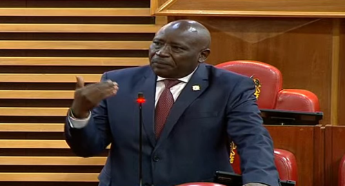 Kitui Central MP Makali Mulu speaking during a parliamentary session on August 12, 2025. PHOTO/A screengrab by PD Digital/Youtube