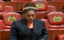 Passaris pushes for strong filters to shield minors from harmful digital content