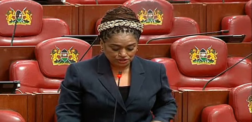 Nairobi County Woman Representative Esther Passaris Speaking during the second reading of the Computer Misuse and Cybercrimes (Amendment) Bill, 2024, on Thursday, August 14, 2025. PHOTO/A screengrab by PD Digital/Youtube.