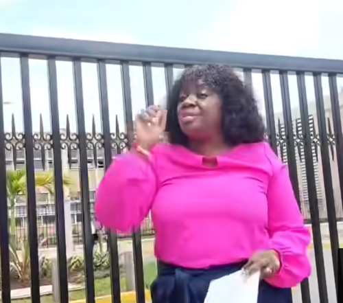 Gloria Orwoba protesting outside senate during the impeachment of Kericho Governor. PHOTO//Screengrab by People Daily Digital/A post by Gloria Orwoba after being blocking from accsessing the senate. PHOTO//Screengab by People Daily Digital/https://www.facebook.com/watch/?v=746269528193014&rdid=9XazsbwojwlLG3fQ