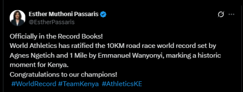 A screenshot of Passaris' statement. PHOTO/Screengrab by People Daily from a statement shared on X by @EstherPassaris