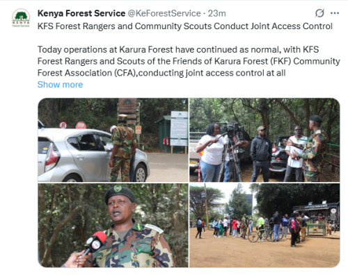 X post by Kenya Forest Service. PHOTO/Screengrab by People Daily Digital