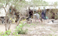 Fresh graves discovered around Shakahola forest