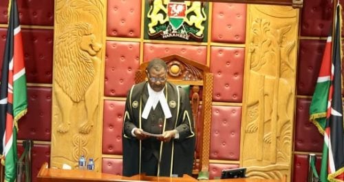 National Assembly Speaker Moses Wetangula during a session in Parliament: PHOTO/https:facebook.com/ParliamentKE