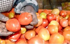 How everyday costs are reshaping Kenyan lives 