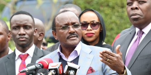 Kalonzo Musyoka during a past press briefing: PHOTO/@skmusyoka/X