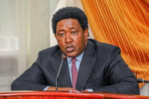 Narol Senator Ledama Olekina during a past presser: PHOTO/@ledamalekina/X