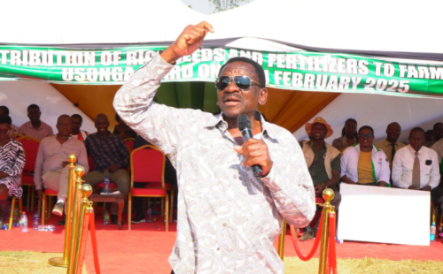 Siaya Governor James Orengo speaks during a past public function. PHOTO/@orengo_james/X