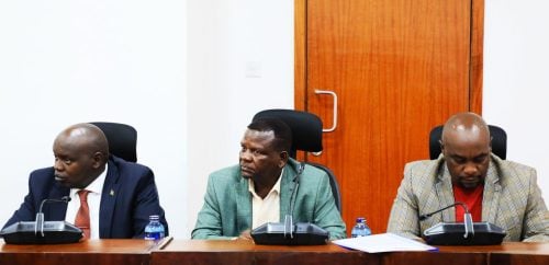 Senator during CPAC session on withdrawn county graft cases. PHOTO/https://www.facebook.com/photo/Parliament of Kenya