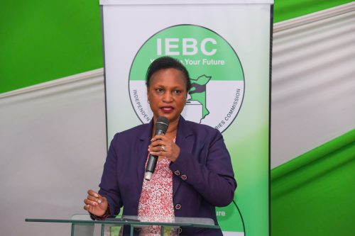 IEBC's Chairperson of Election Operations Committee, Ann Nderitu. PHOTO/@IEBCKenya/X.