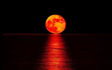 When will the next blood moon grace our skies? Total