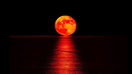A total lunar eclipse also known as a blood moon seen from high sky. PHOTO/@irishexaminer/X