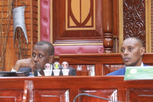 National Assembly Committee on Defence, Intelligence and Foreign Relations chairperson Nelson Koech during the vetting process for persons nominated for appointment as Ambassadors, High Commissioners and Consuls-General on September 3, 2025. PHOTO/@NAssemblyKE/X