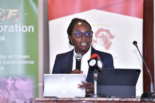LSK President Faith Odhimabo during a past event: PHOTO/@FaithOdhiambo8/X