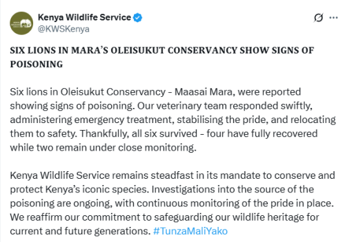 X post by KWS. PHOTO/Screengrab by People Daily Digital