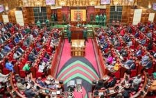 Ruth Odinga, Caroli Omondi and Kibagendi among MPs against broad-based govt affected in key House committees purge