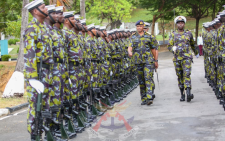 Nairobi MPs petition KDF over recruitment criteria