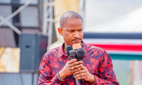 Embakasi East MP Babu Owino speaks during a past public function. PHOTO/https://web.facebook.com/babuowinongili