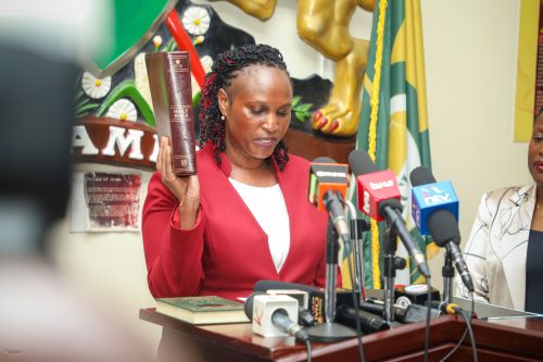 A photo of Anne Nderitu while being sworn in as IEBC Commisioner. PHOTO//https://annnderitu.com/