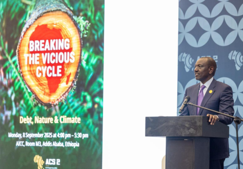 President William Ruto speaks during an official function in Addis Ababa, Ethiopia. PHOTO/@WilliamsRuto/X