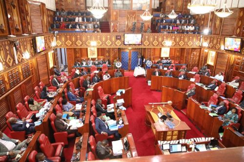 Past Parliamentary session: PHOTO/https://facebook.com/ParliamentKE