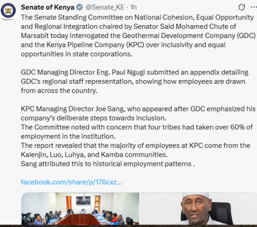 The senate has put KPC and GDC on the spot over employment equality. Photo/Sceen grab by the People Daily/The Senate/ @Senate_KE