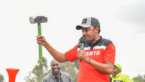 Kiambu Senator Karungo Thangwa during a past political rally. PHOTO/https://x.com/KarungoThangwa