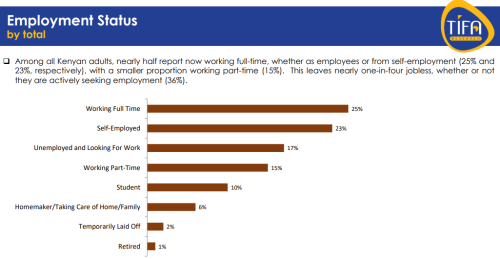 A screenshot of the employment status report. PHOTO/TIFA