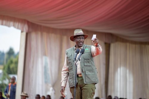 President William Ruto during the launch of the Livelihoods Programme at Sirikwa, Kuresoi North, Nakuru County. PHOTO/@WilliamsRuto/X