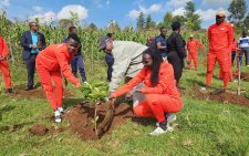 Mazingira Day: AK Nairobi cross-country race set to celebrate national