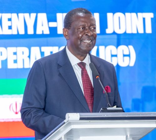 Prime Cabinet Secretary Musalia Mudavadi during a past event: PHOTO/facebook.com/ForeignOfficeKE