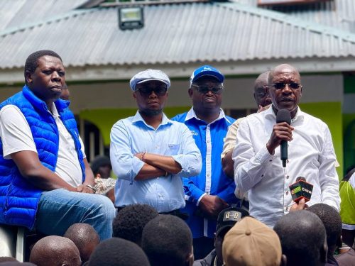 Opposition leaders during a campaign at Malava Constituency: PHOTO/@EugeneLWamalwa/X