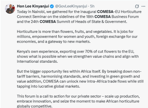 X post by Lee Kinyanjui. PHOTO/Screengrab by People Daily Digital
