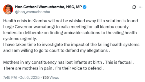 X post by Gathoni Wamuchomba. PHOTO/Screengrab by People Daily Digital