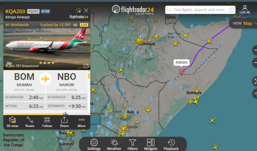 The flight tracker. PHOTO/Screengrab by People Daily Digital