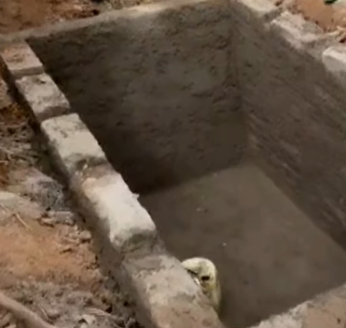 Raila Odinga's grave digging progress. PHOTO//Screengrab by People Daily Digital
