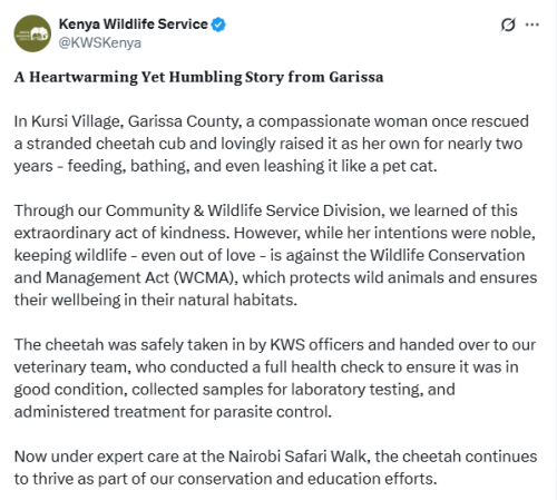 X post by KWS. PHOTO/Screengrab by People Daily Digital