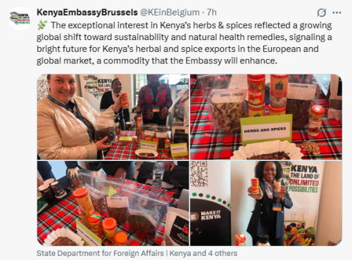 X post by Kenya Embassy Brussels. PHOTO/Screengrab by People Daily Digital
