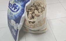 2 women nabbed in Mombasa anti-narcotic crackdown