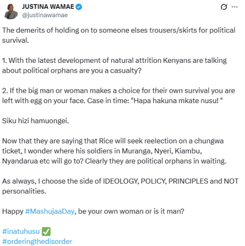 Justina Wamae's statement on political orphans narrative on Monday, October 20, 2025. PHOTO/Screen grab by People Daily Digital/@justinawamae