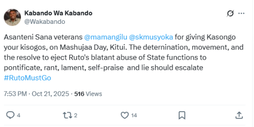 Kabando Wa Kabando speaks on Kalonzo Musyoka and Charity Ngilu skipping Mashujaa Day celebrations. PHOTO/Screengrab by People Daily Digital/@Wakabando